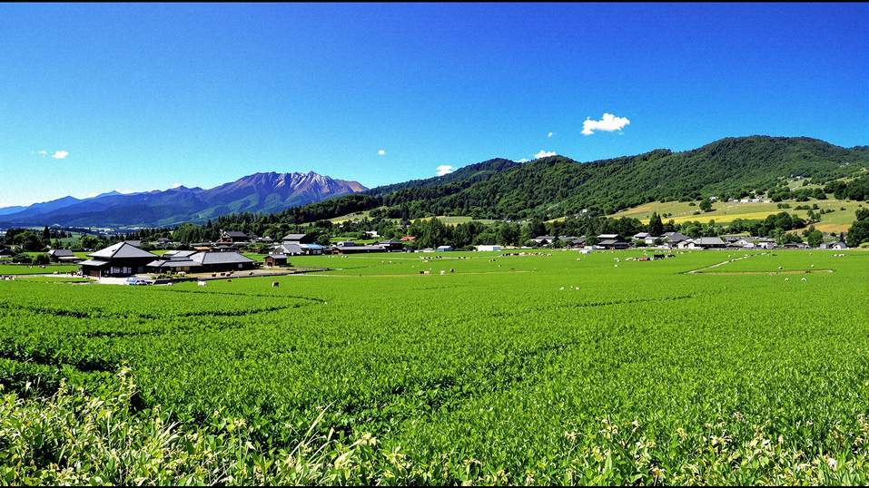 長谷川ファームの美しい風景